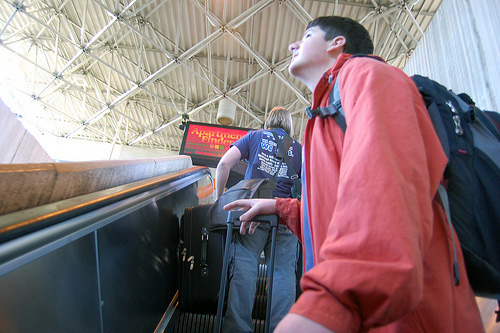 2430355110_7ee073be08